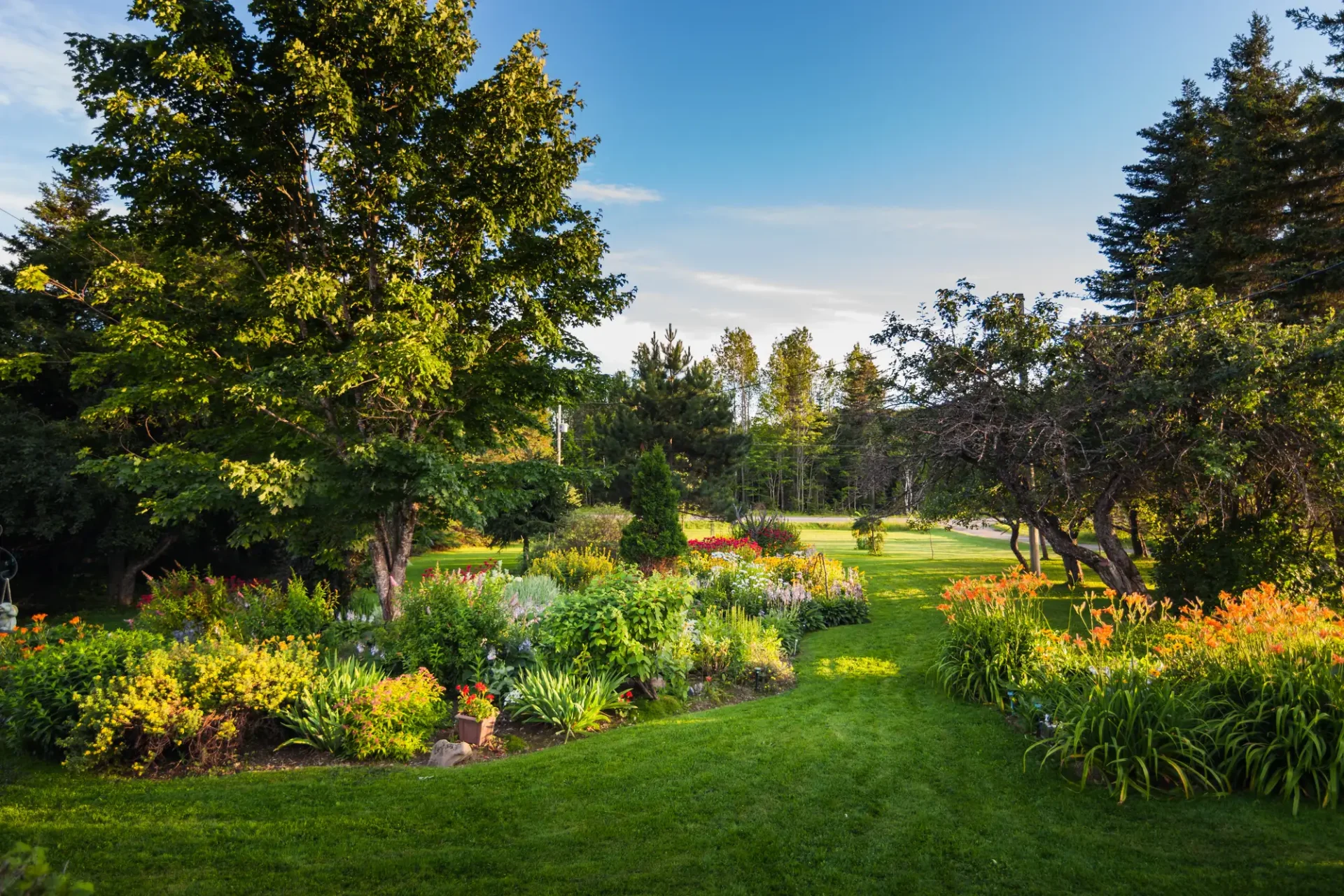 beautiful landscape trees bushes flowers